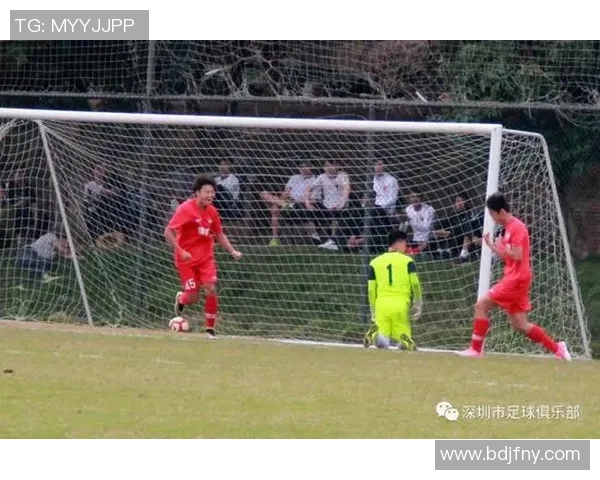 重磅专题：深圳排球队如何实现进攻战术的全面革新与突破